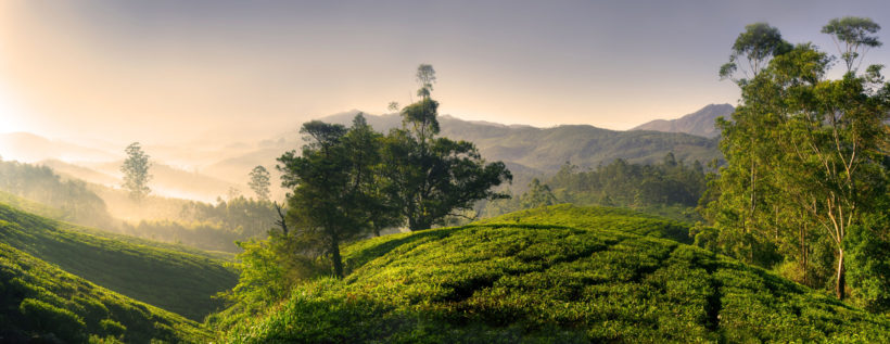 Bekal is a quiet piece of land in Kasaragod locale, Kerala. Its unexplored surroundings are what add to the appeal of the land. Bekal is a quiet piece of land in Kasaragod locale, Kerala. Its unexplored surroundings are what add to the appeal of the land.