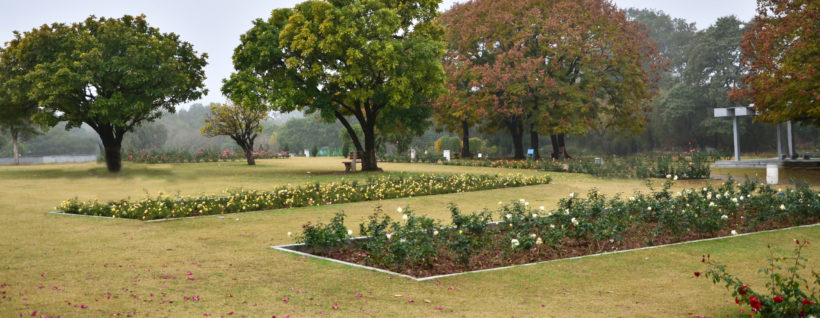 Because Nature nurtures the best Because Nature nurtures the best