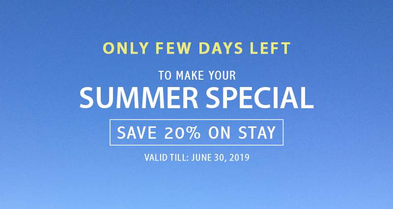 Make Your Summer Special Make Your Summer Special