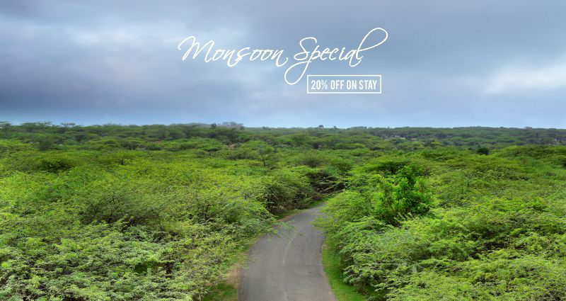 Monsoon Special Monsoon Special
