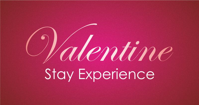 Valentine's Day Stay Experience Valentine's Day Stay Experience