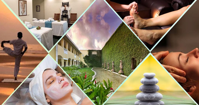Gateway to Wellness Gateway to Wellness