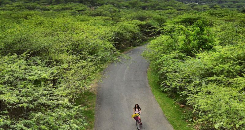 Nature Getaway at Aravallis Nature Getaway at Aravallis