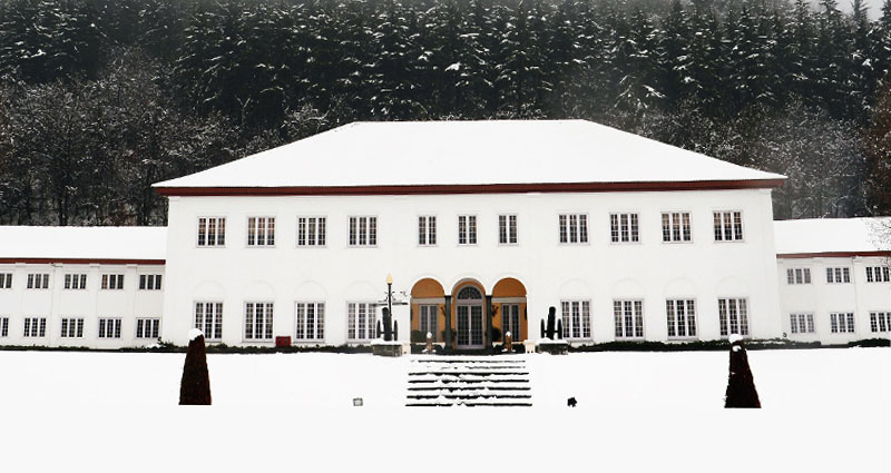 Valentine's Day Special 