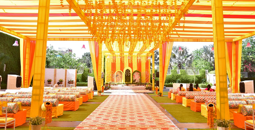 Party Lawn 